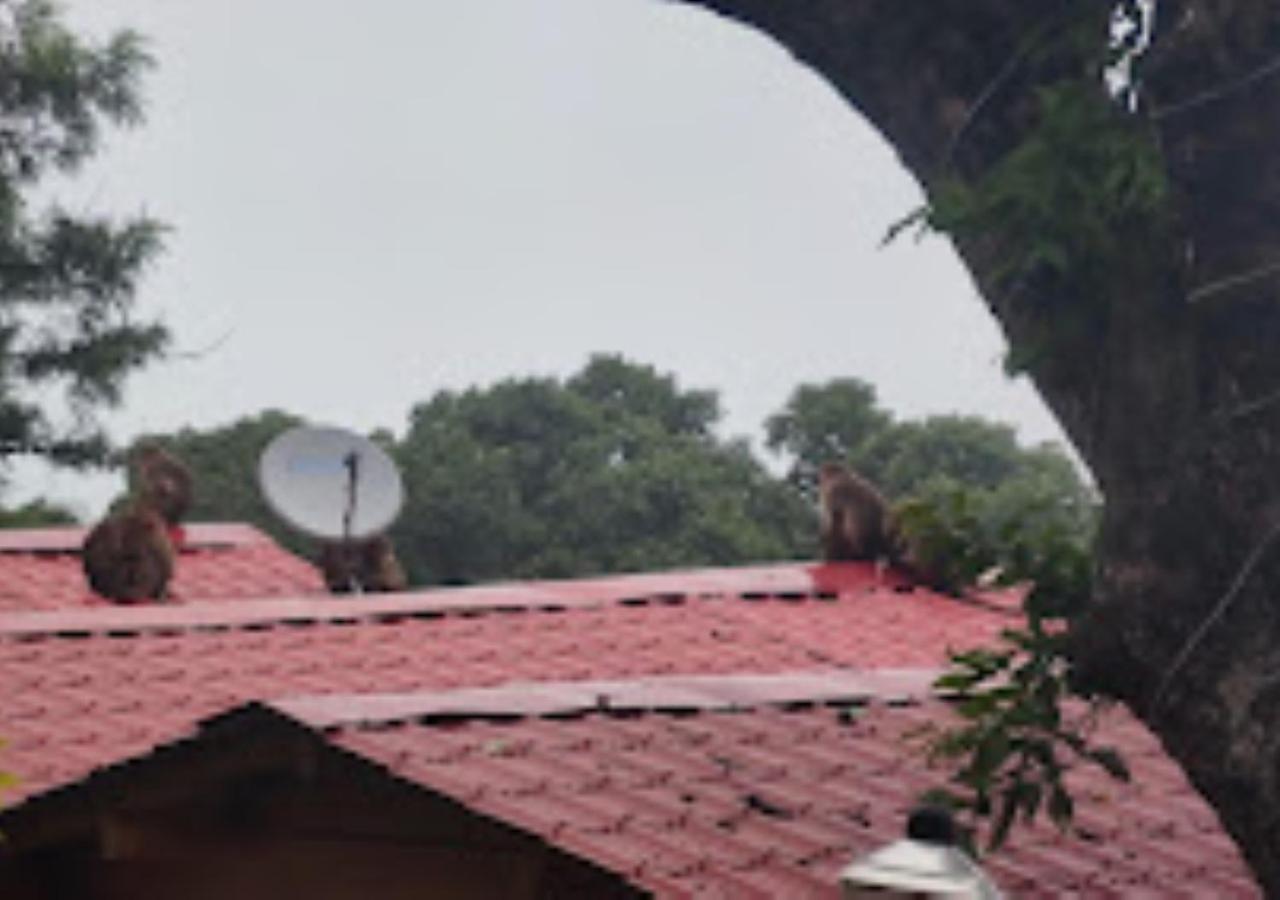 Kaas Woods Resort Yavateshwar Satara Exteriér fotografie